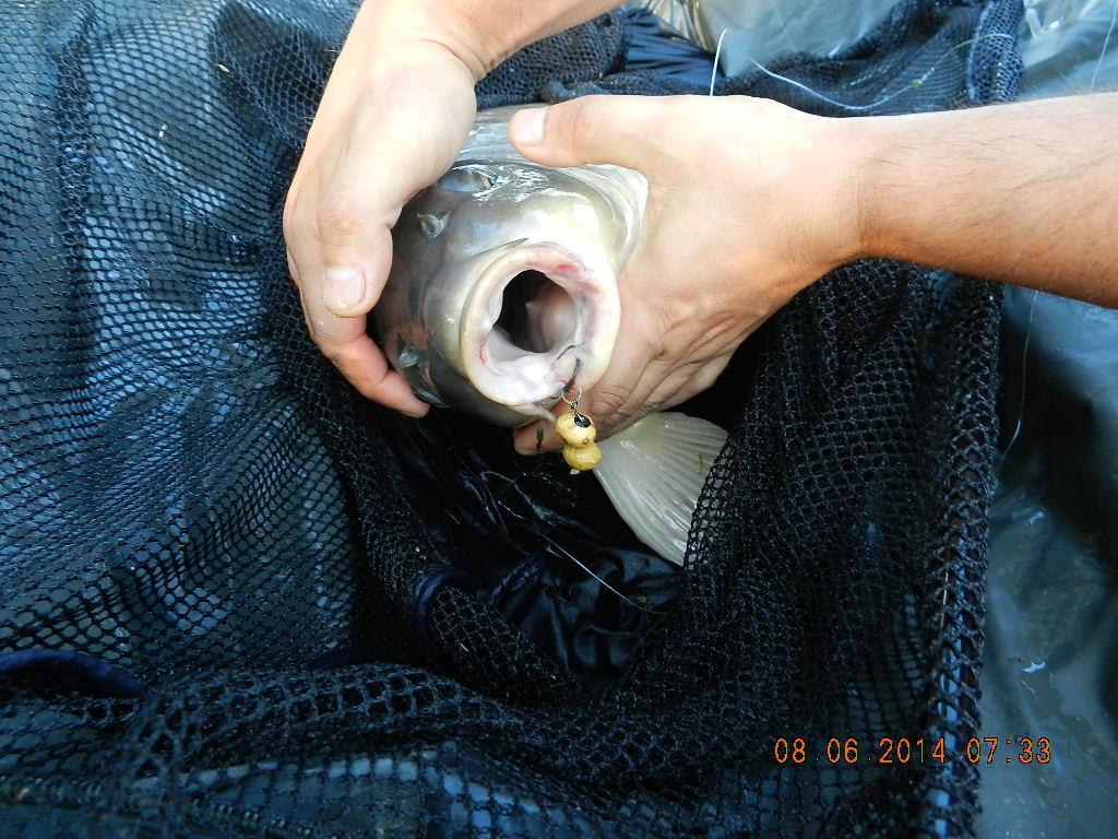 marginal fishing - dscn2653.JPG